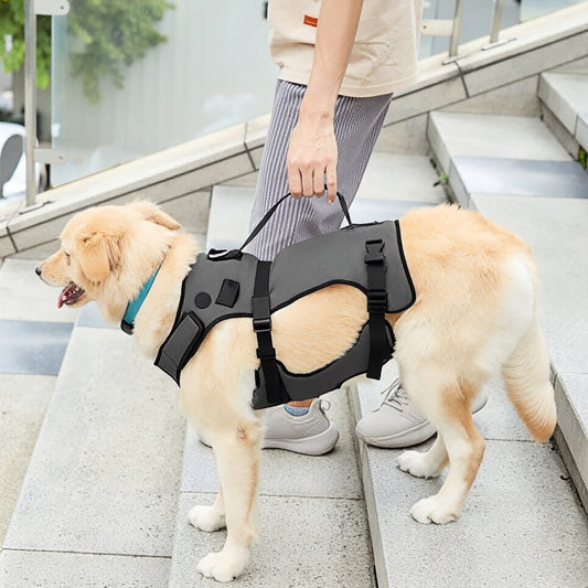 Pet Dog Leg Strength Training Harness for Elderly Dogs