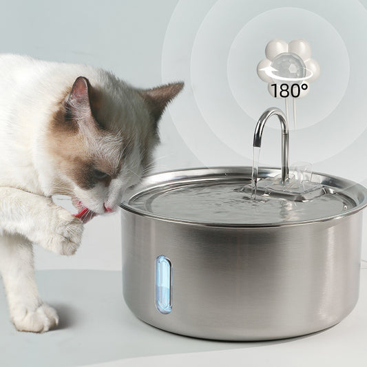 Stainless Steel Pet Water Dispenser with LED Light